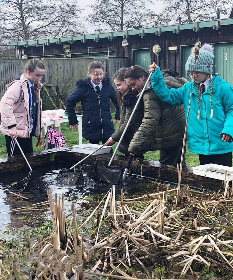 Pond Dipping